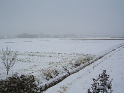 09.2.20 雪景色