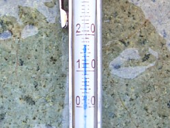 今日の水温