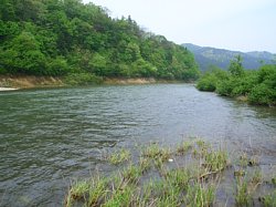 米地区上流のカーブ下